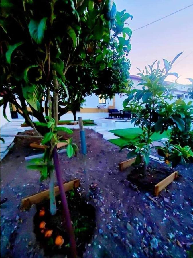 Casa Da Laranjeira Villa Vale Covo  Bagian luar foto