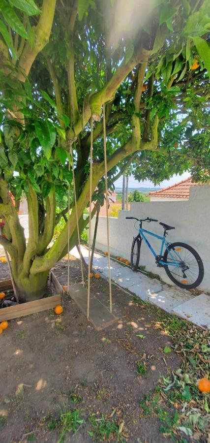 Casa Da Laranjeira Villa Vale Covo  Bagian luar foto