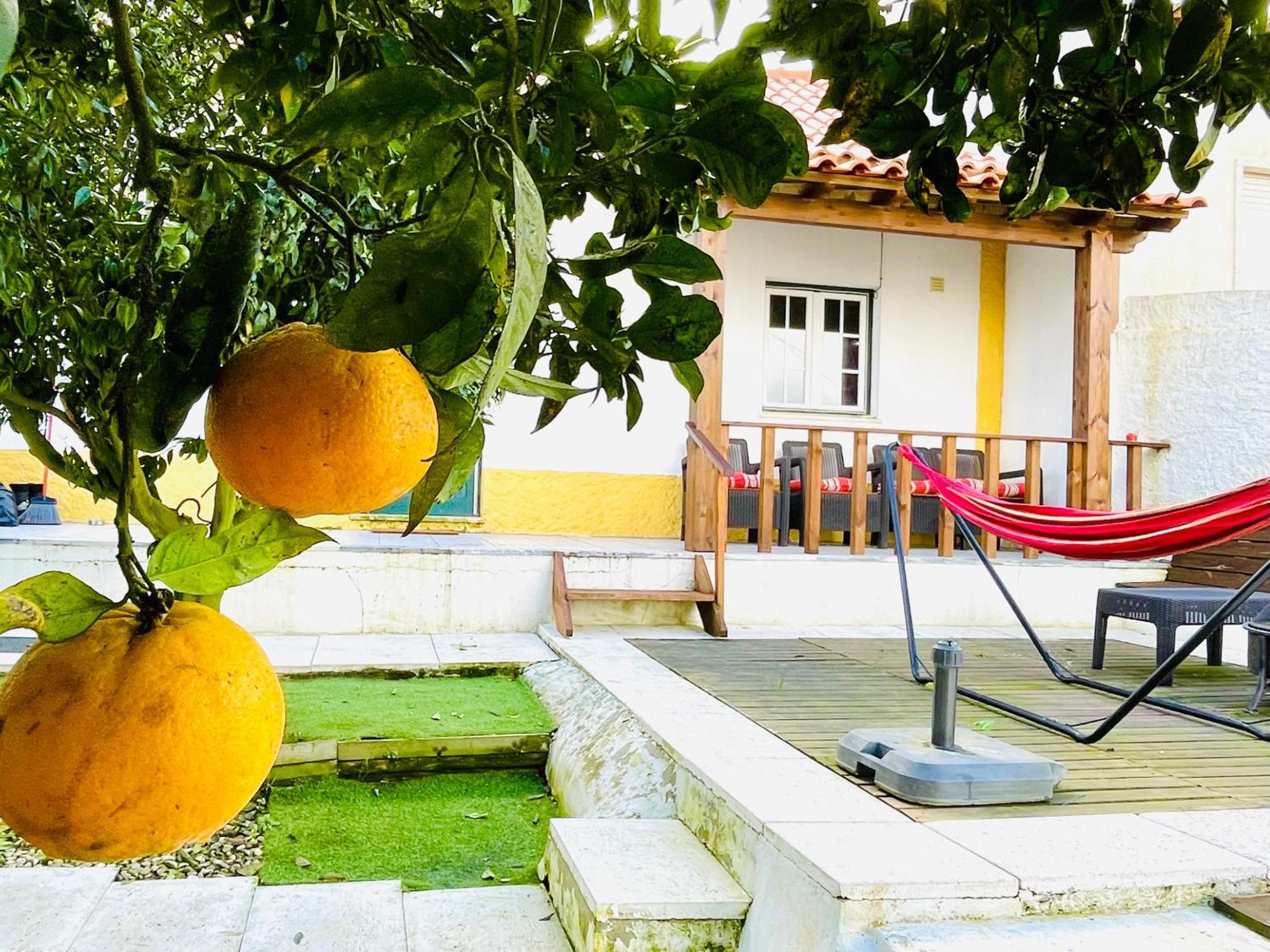 Casa Da Laranjeira Villa Vale Covo  Bagian luar foto